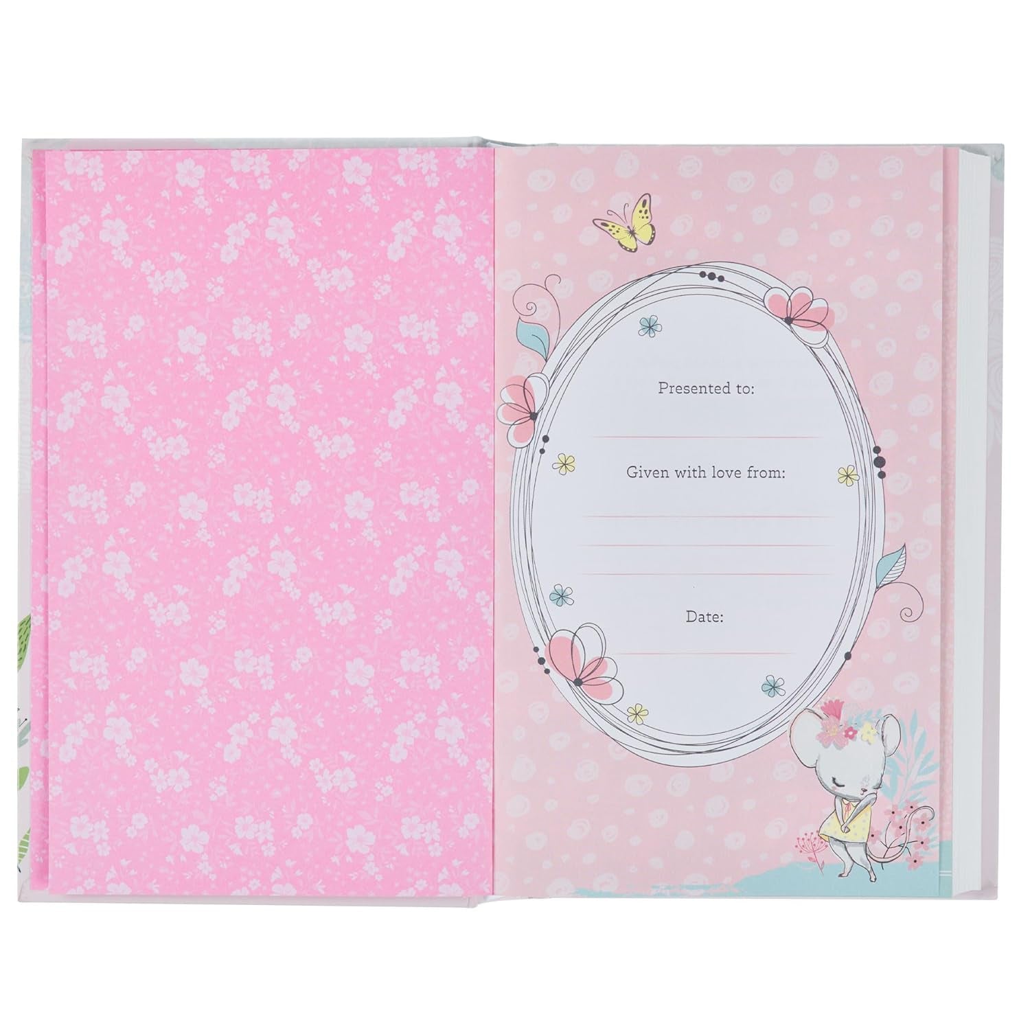 NLT Keepsake Holy Bible for Baby Girls Baptism Easter, New Living Translation, Blush Pink (NLT Baby Keepsake Editions)