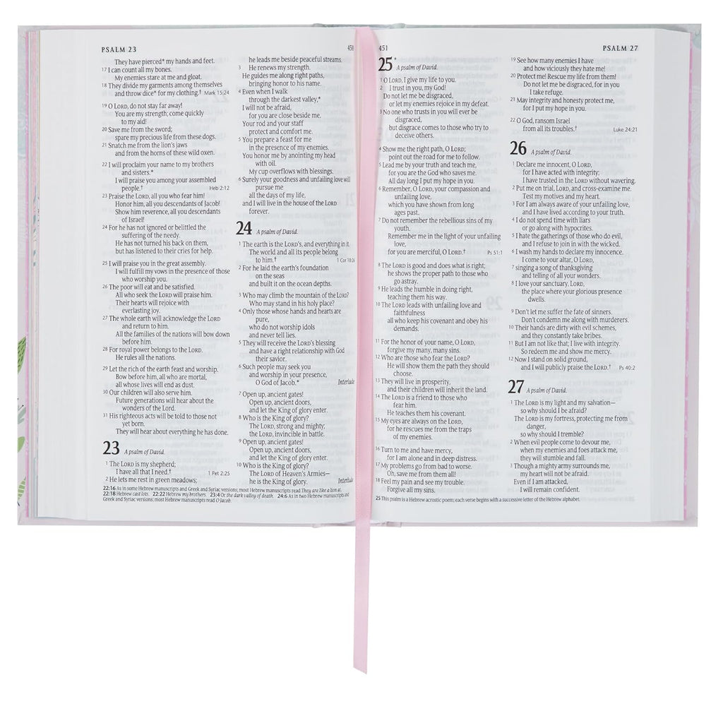 NLT Keepsake Holy Bible for Baby Girls Baptism Easter, New Living Translation, Blush Pink (NLT Baby Keepsake Editions)