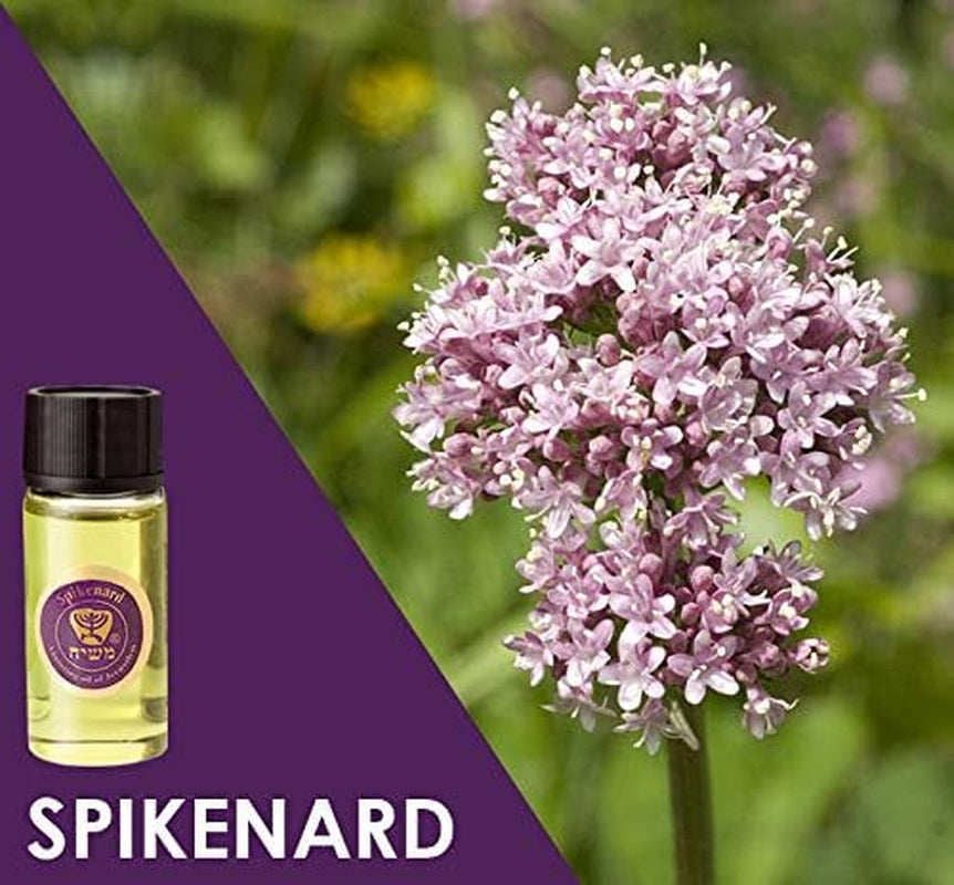 Anointing Oil from Israel - Set of 3 | from Jerusalem - Rose of Sharon, Myrrh and Frankincense, Spikenard Biblical Oils | Total Amount 1Oz Anointing Oil Made in Israel by