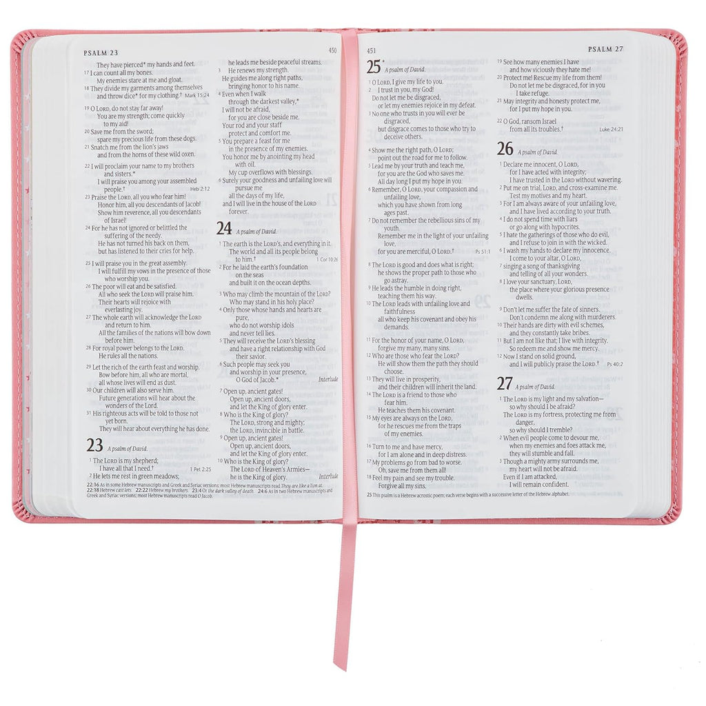 NLT Keepsake Holy Bible for Baby Girls Baptism Easter, New Living Translation, Pink (NLT Baby Keepsake Editions)