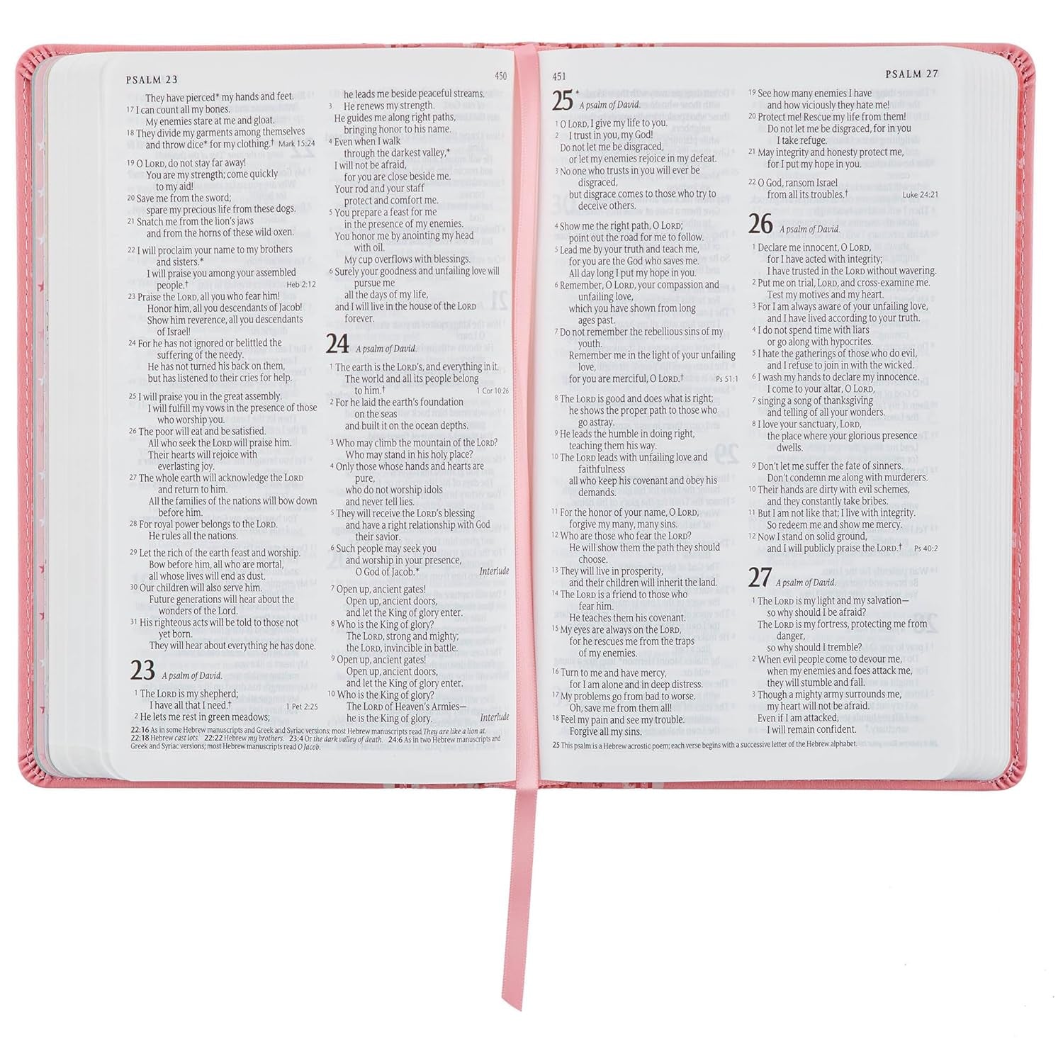 NLT Keepsake Holy Bible for Baby Girls Baptism Easter, New Living Translation, Pink (NLT Baby Keepsake Editions)