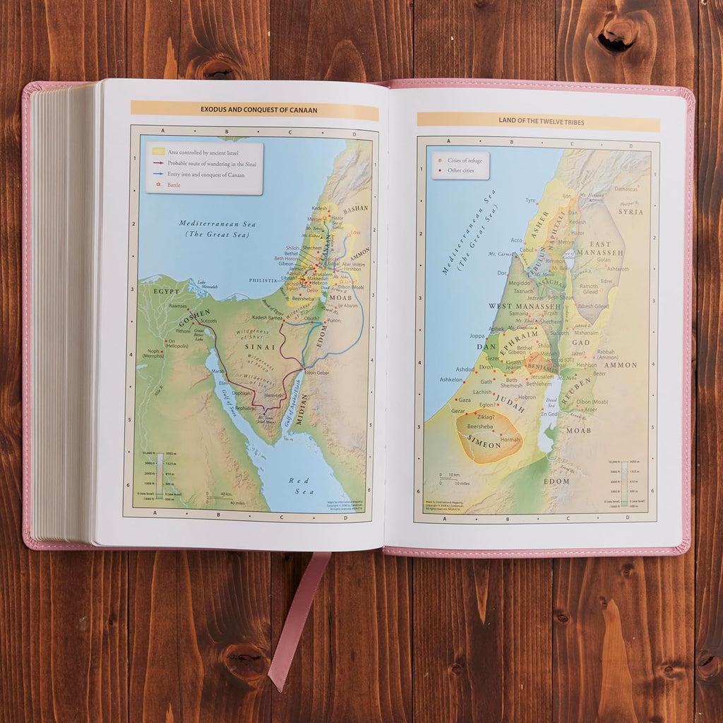 KJV Holy Bible: Large Print with 53,000 Center-Column Cross References, Pink Leathersoft, Red Letter, Comfort Print: King James Version