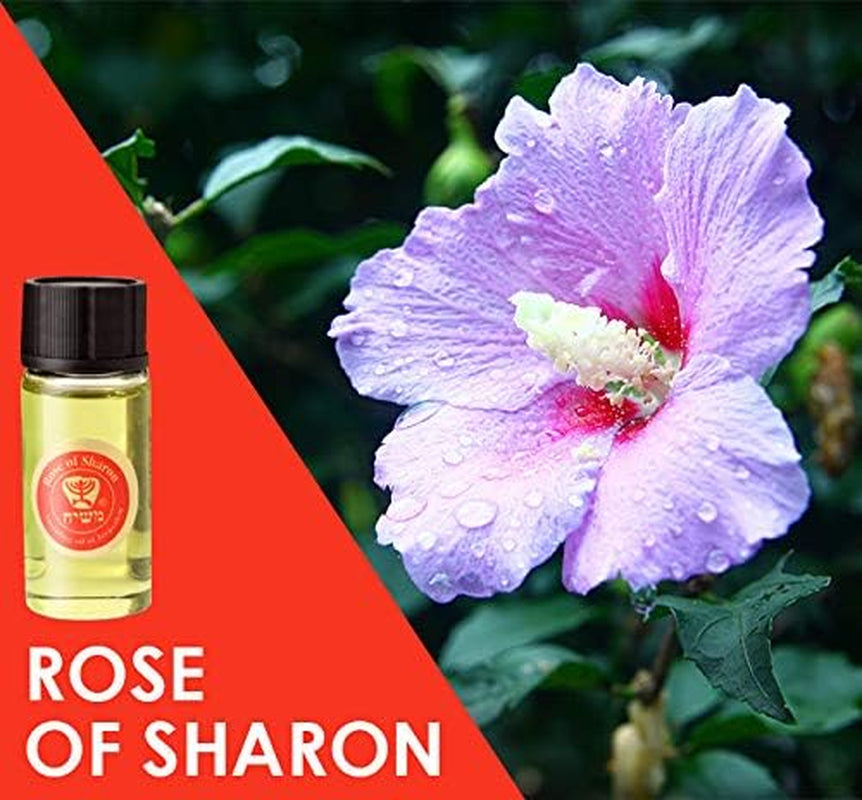 Anointing Oil from Israel - Set of 3 | from Jerusalem - Rose of Sharon, Myrrh and Frankincense, Spikenard Biblical Oils | Total Amount 1Oz Anointing Oil Made in Israel by