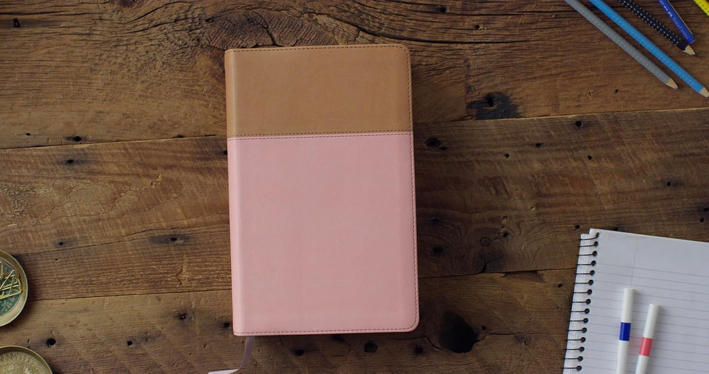 ESV Teen Study Bible (Trutone, Blush/Caramel): Holy Bible, English Standard Version