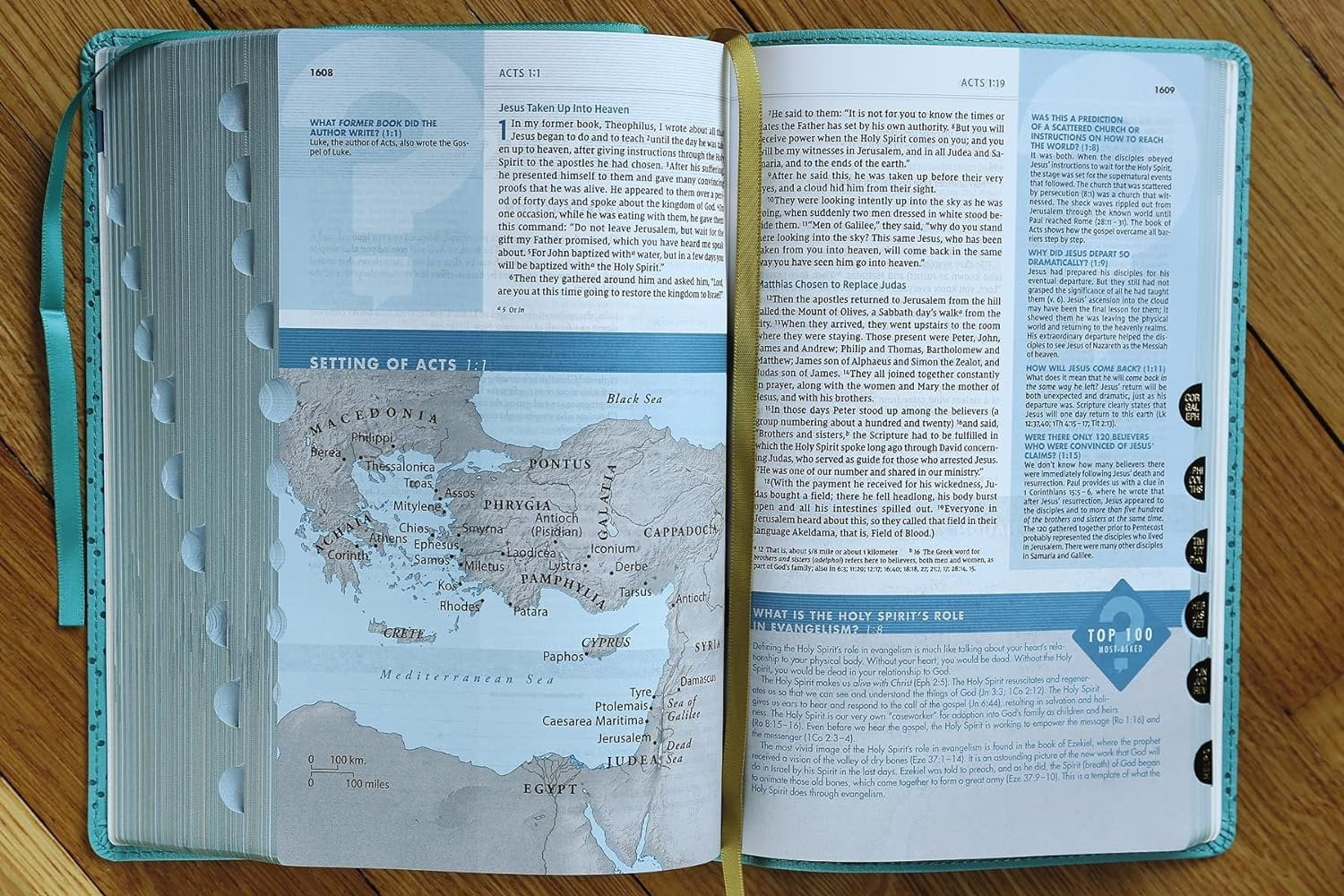 Niv, Quest Study Bible, Personal Size, Leathersoft, Teal, Thumb Indexed, Comfort Print: the Only Q and a Study Bible, (Hardcover)