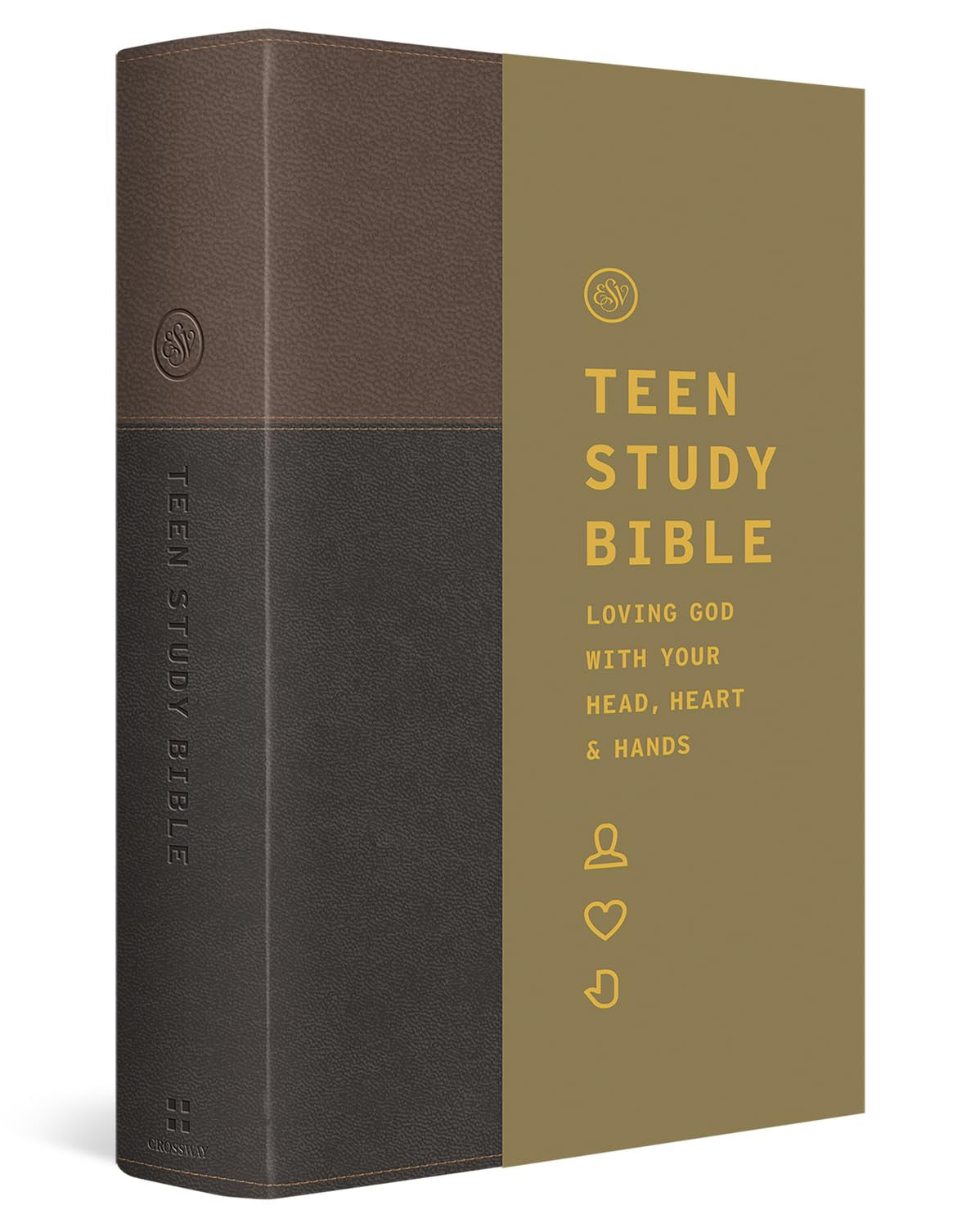 ESV Teen Study Bible (Trutone, Slate/Umber): Holy Bible, English Standard Version