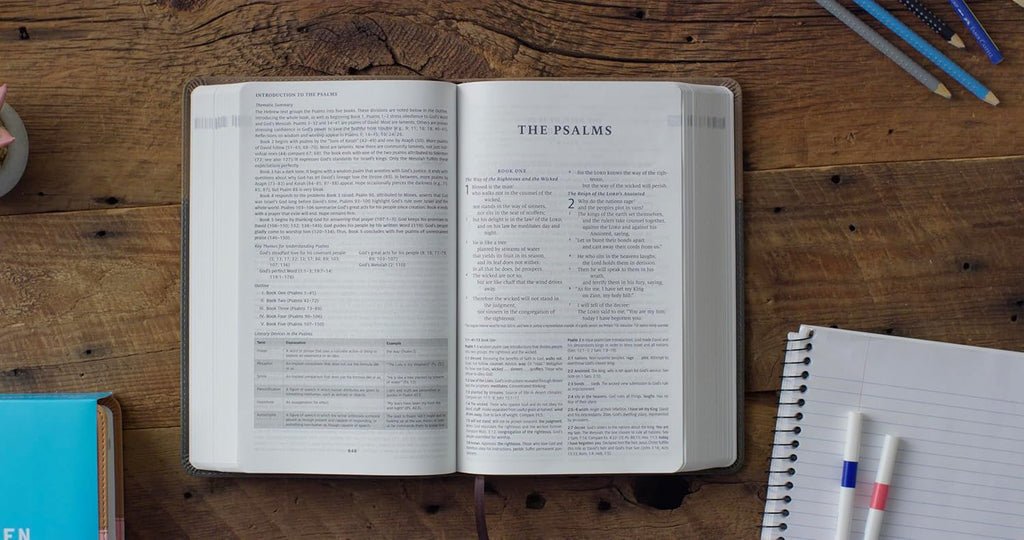 ESV Teen Study Bible (Trutone, Slate/Umber): Holy Bible, English Standard Version