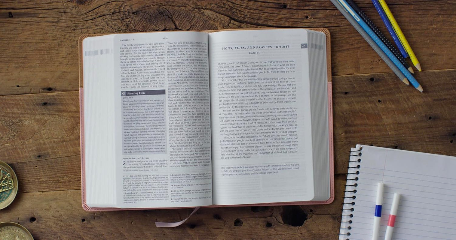 ESV Teen Study Bible (Trutone, Blush/Caramel): Holy Bible, English Standard Version