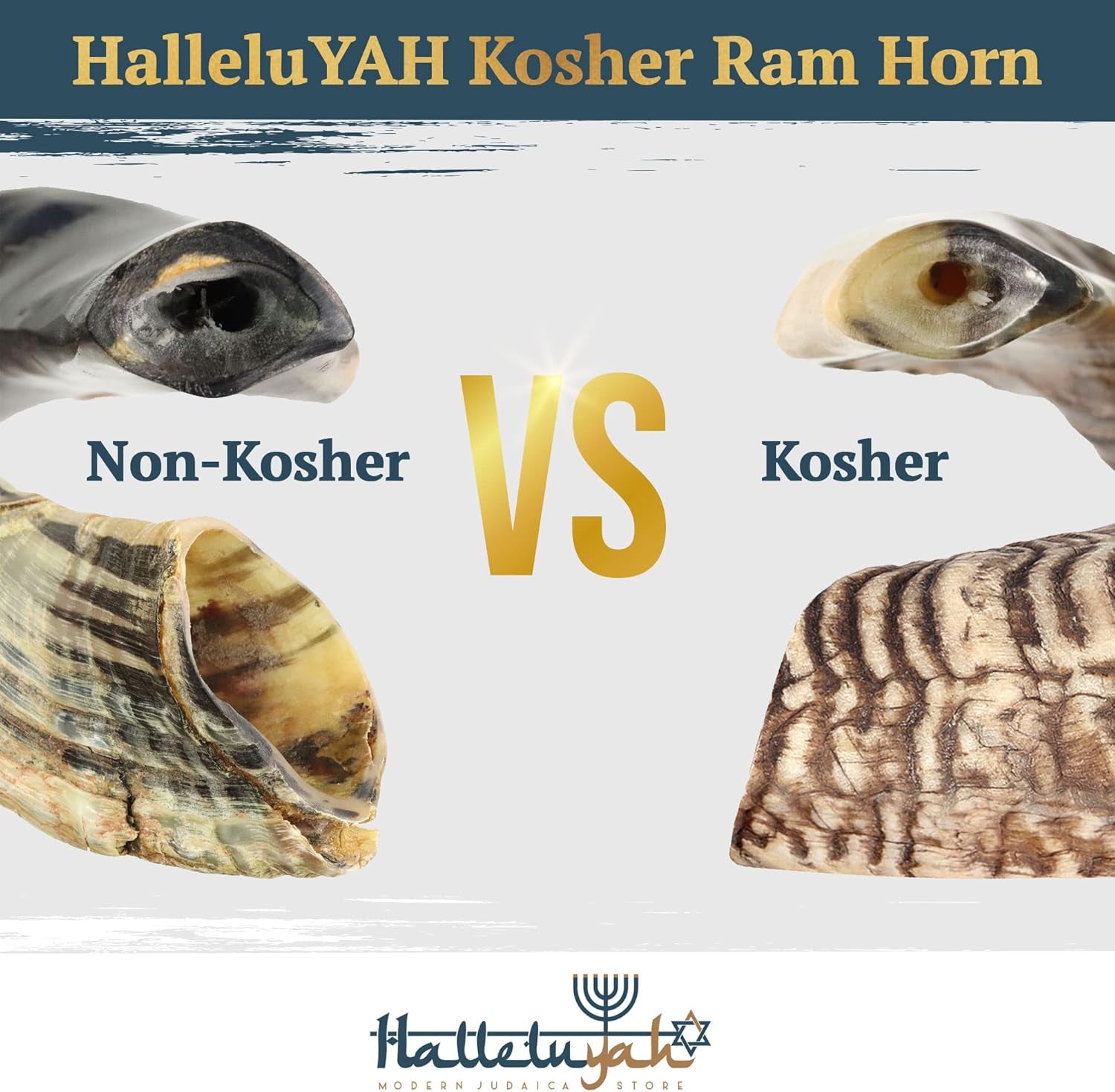 KOSHER ODORLESS Ram Horn Shofar - 14"-16", Smooth Mouthpiece, Velvet Bag, Clean Brush, Shofar Guide - Made in Israel