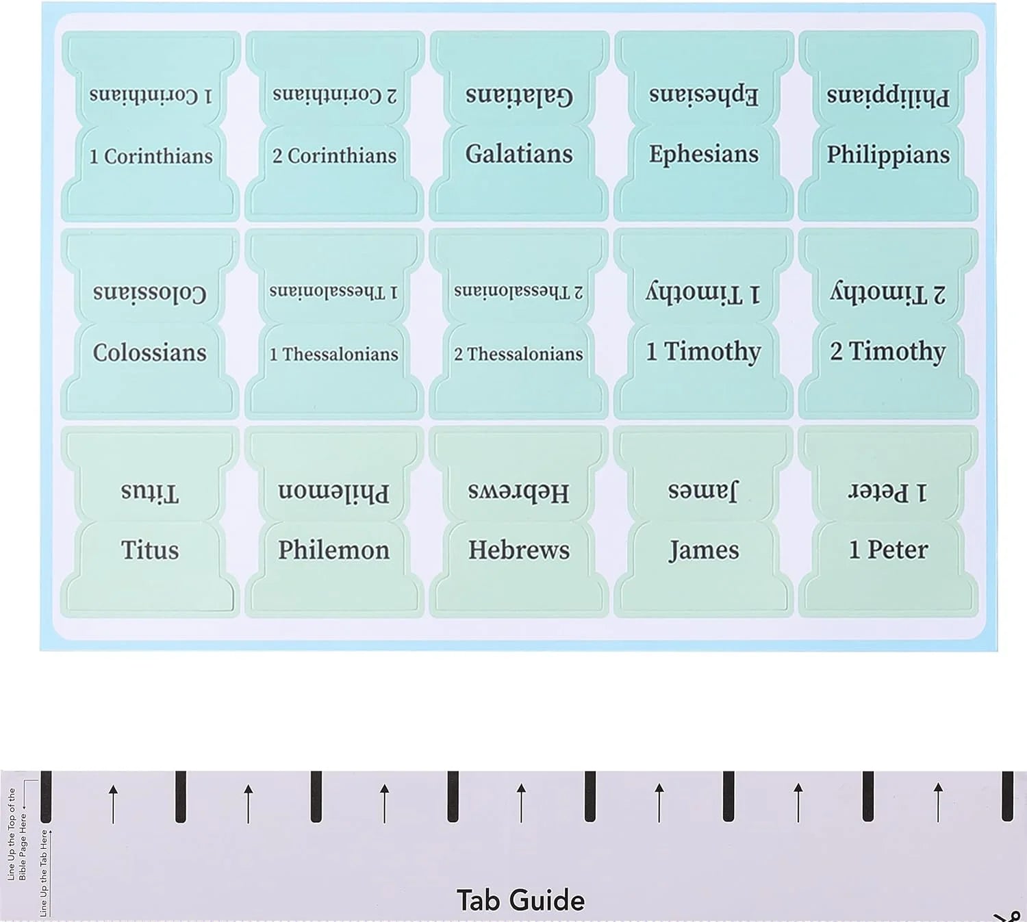 - Bible Tabs, 75 Tabs, Pastel Colors, Laminated Bible Tabs for Women and Men,