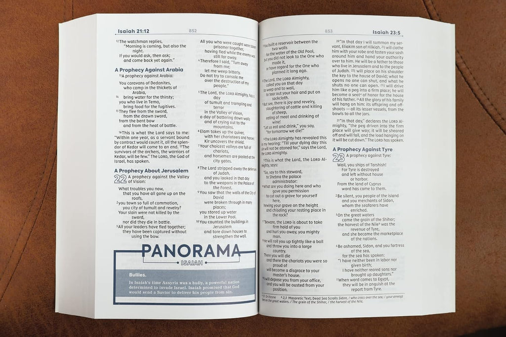 NIV, Teen Study Bible (For Life Issues You Face Every Day), Paperback, Comfort Print
