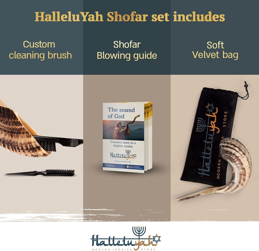 KOSHER ODORLESS Ram Horn Shofar - 14"-16", Smooth Mouthpiece, Velvet Bag, Clean Brush, Shofar Guide - Made in Israel